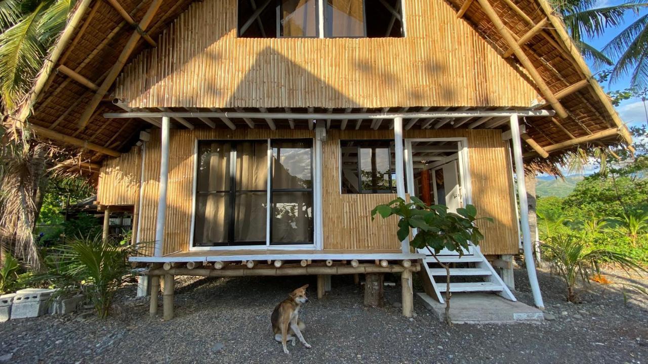 Villa Eliza Ecofarm Tibiao エクステリア 写真